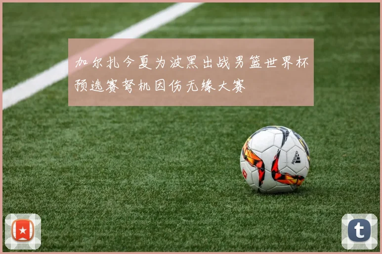 加尔扎今夏为波黑出战男篮世界杯预选赛弩机因伤无缘大赛