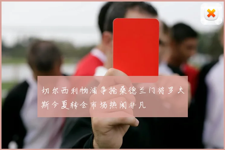 切尔西利物浦争抢桑德兰门将罗夫斯今夏转会市场热闹非凡