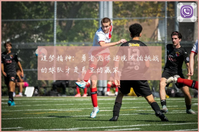 追梦精神：勇者无惧逆境不怕挑战的球队才是真正的赢家