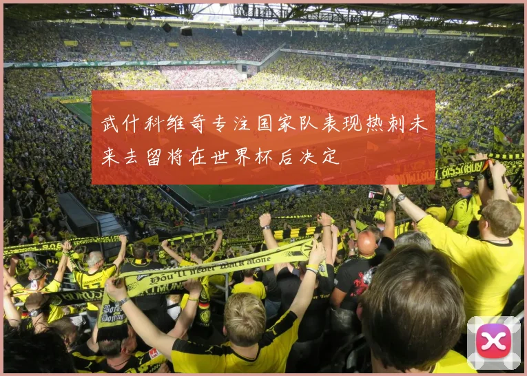 武什科维奇专注国家队表现热刺未来去留将在世界杯后决定